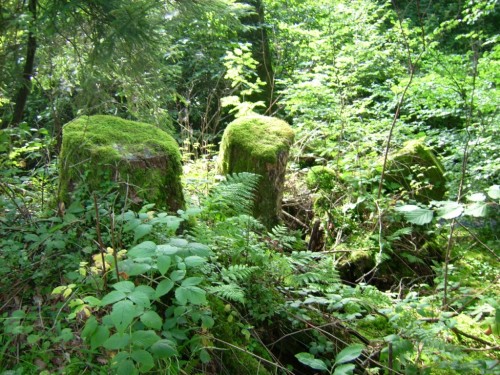 Vergangen