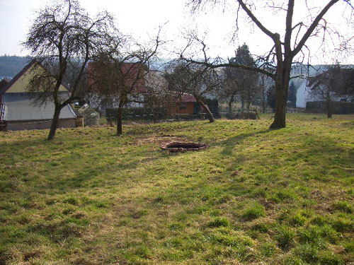 wiese1